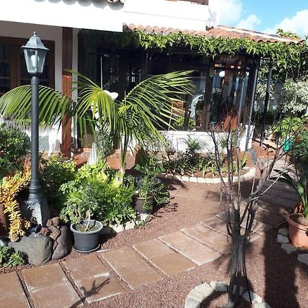 לה לגונה Apartamento Tranquilo En Una Casa Con Jardin מראה חיצוני תמונה