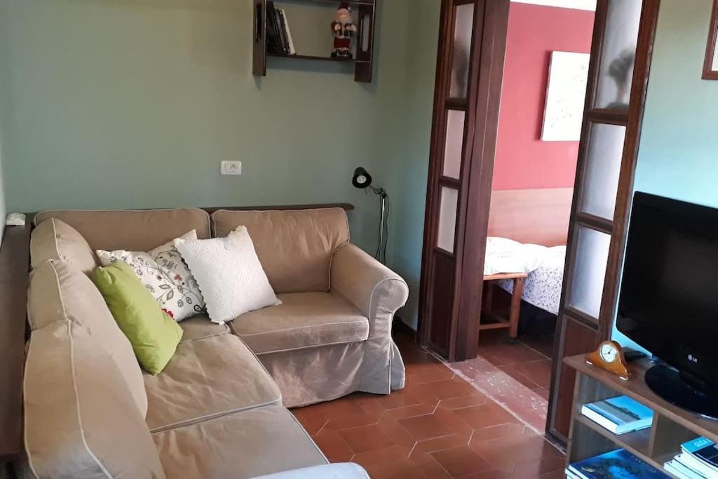 לה לגונה Apartamento Tranquilo En Una Casa Con Jardin מראה חיצוני תמונה
