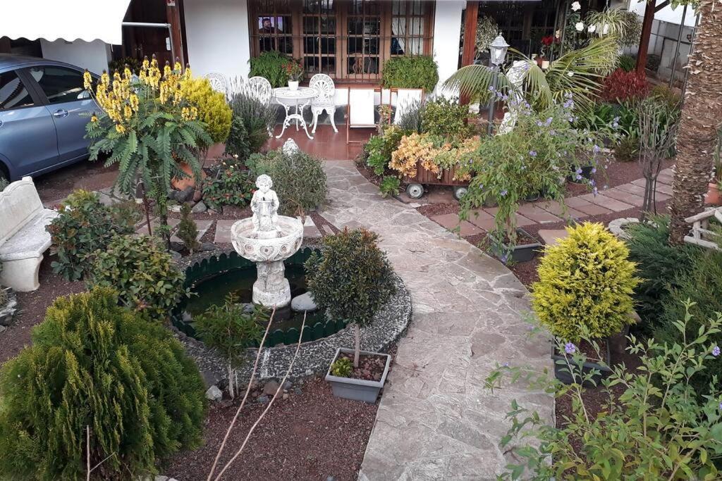 לה לגונה Apartamento Tranquilo En Una Casa Con Jardin מראה חיצוני תמונה
